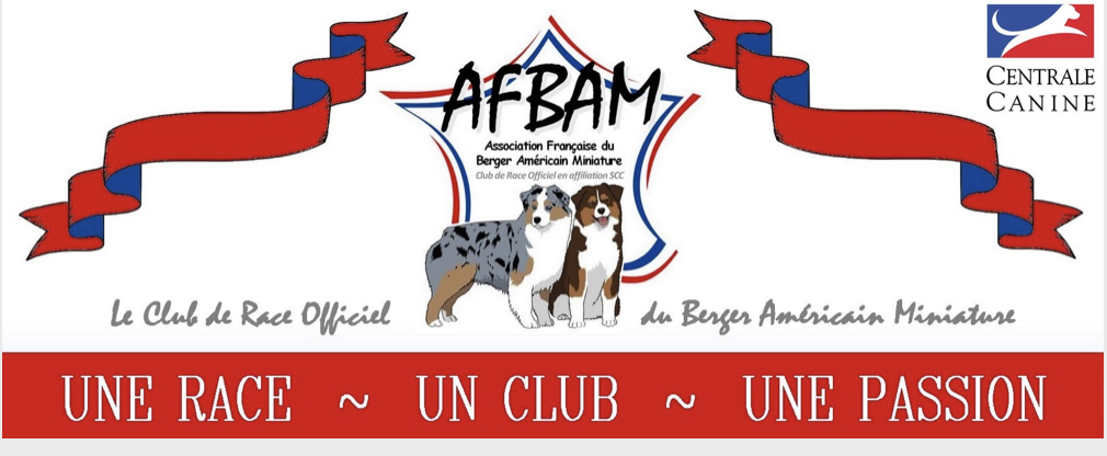 AFBAM