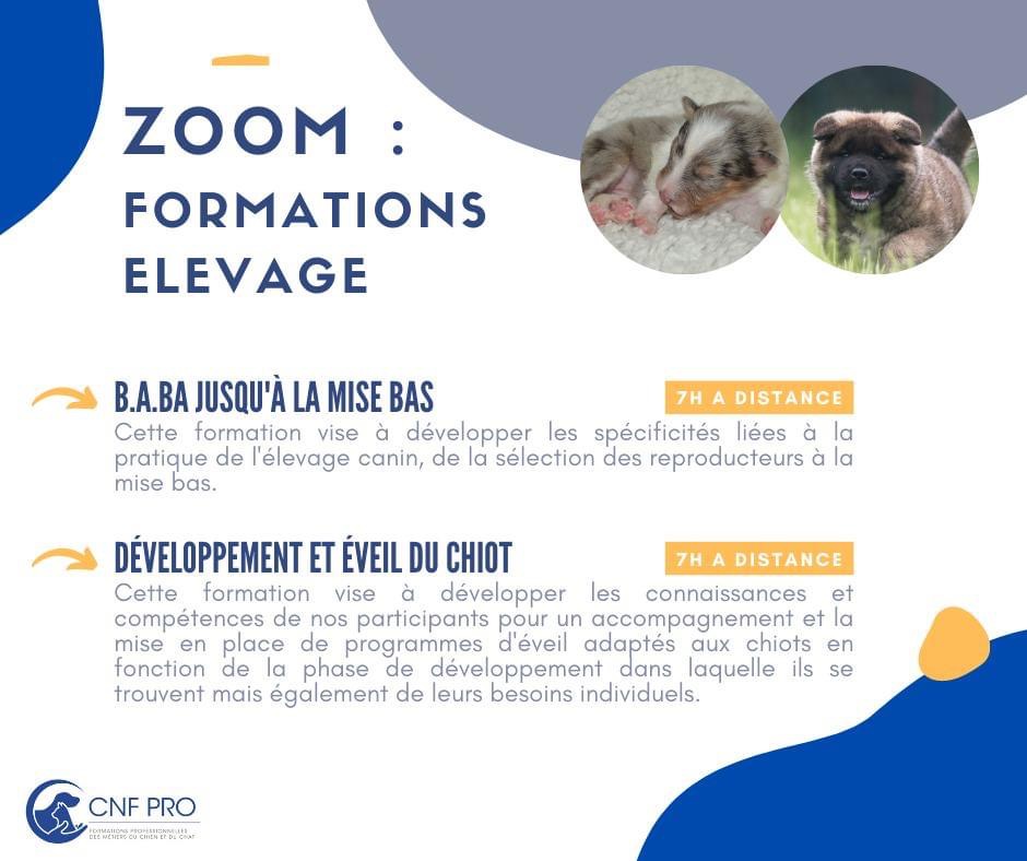 zoom formations élevage