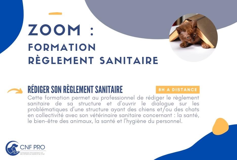 zoom formation règlement sanitaire