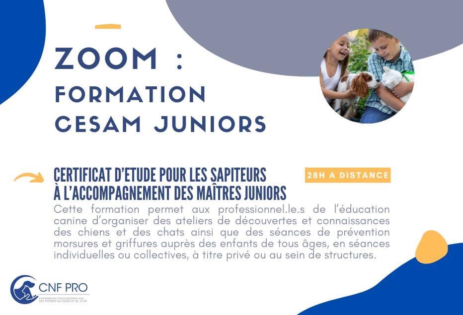 zoom formation CESAM Juniors